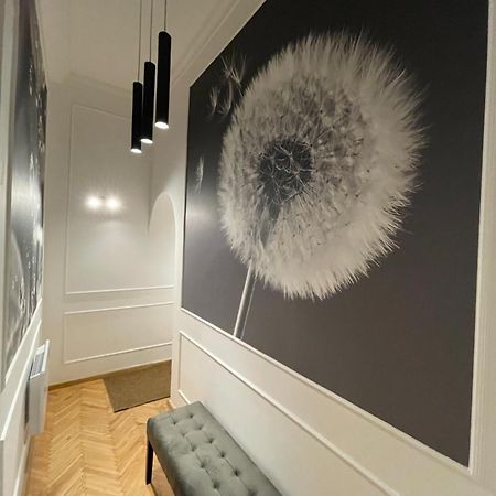 Flower Apartment Budapest Luaran gambar